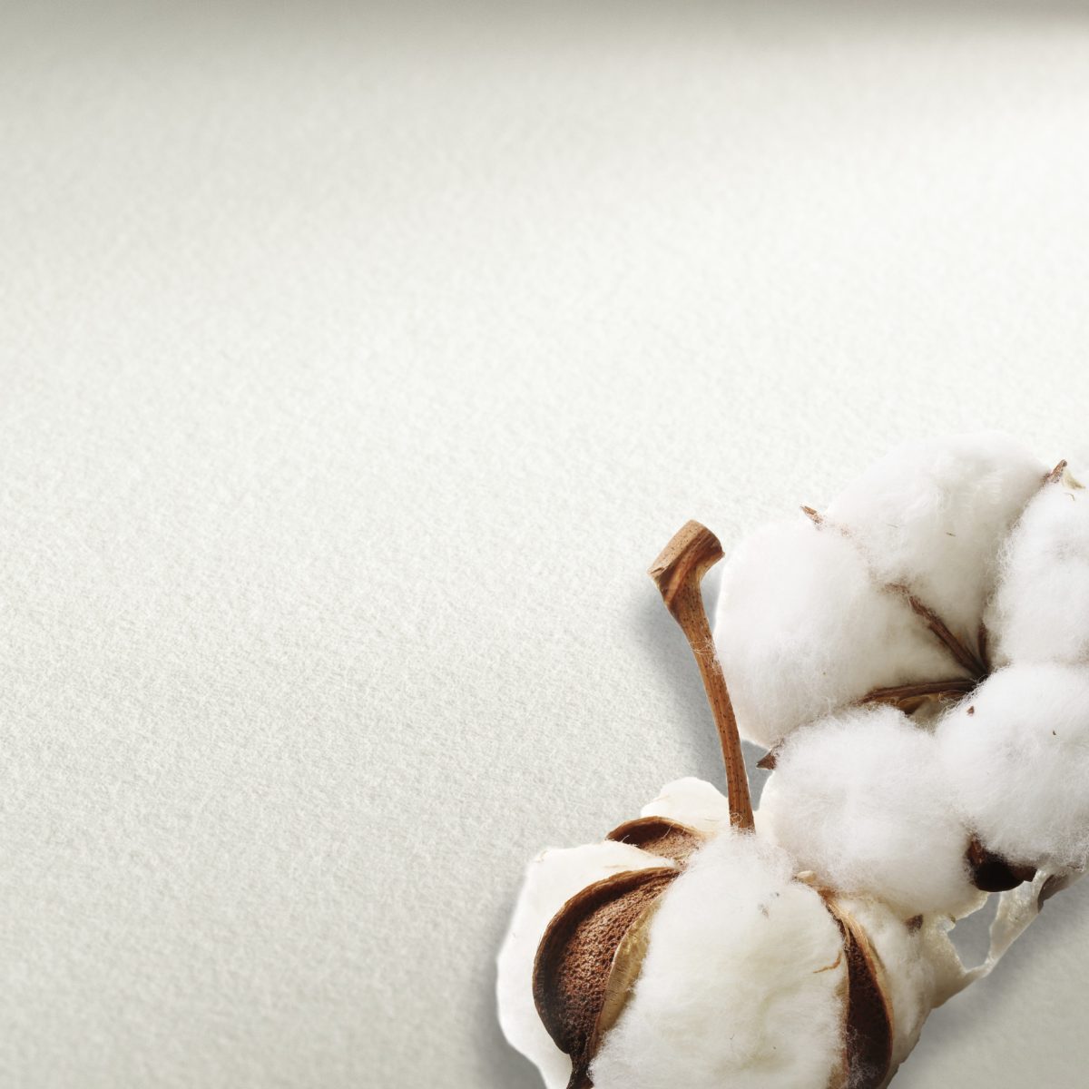 Pad A5, 140 gsm - Image 2