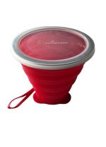 Foldable paint cup