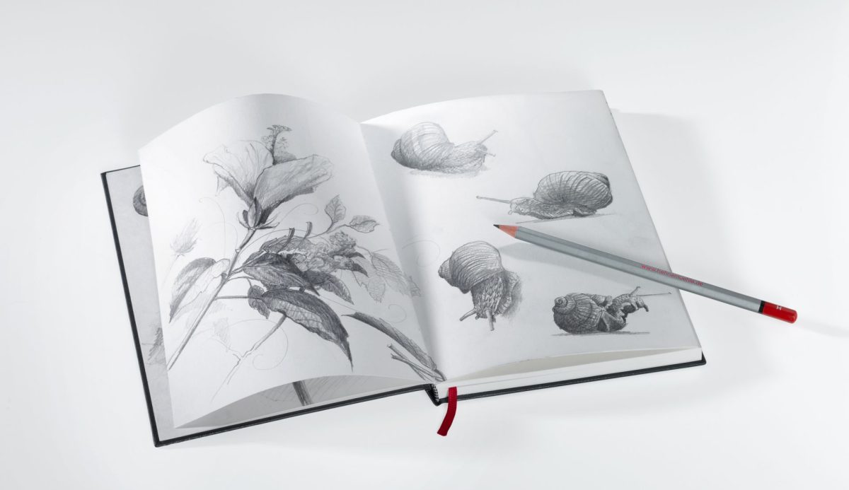 pencil box - Image 3